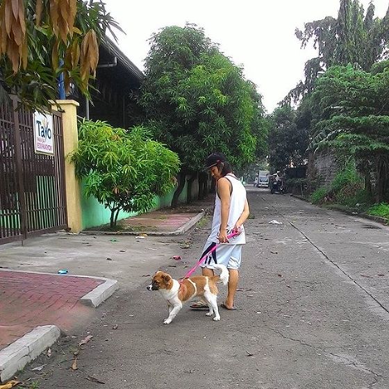 veterinary clinic near mandaluyong 1 - Makati Dog and Cat ...