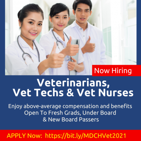 We Are Hiring Veterinarians, Vet Techs, Vet Nurses - Makati Dog and Cat