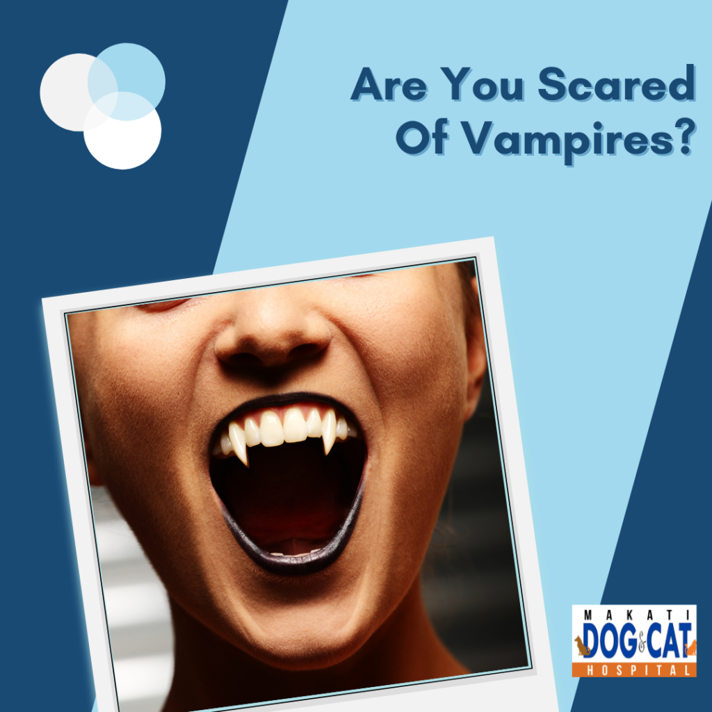 Are You Scared Of Vampires? - Makati Dog and Cat Hospital